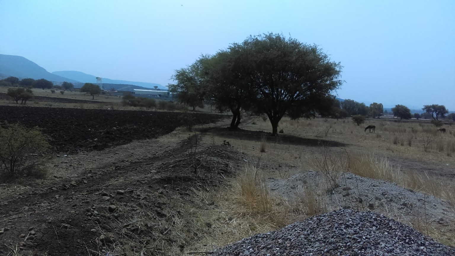 Fotografía del terreno en Tierra Blanca, Querétaro